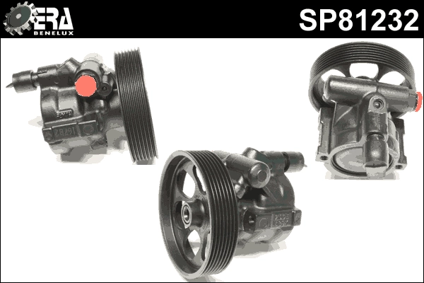 SP81232