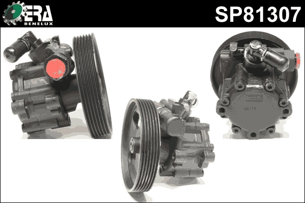 SP81307