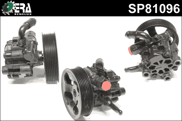 SP81096