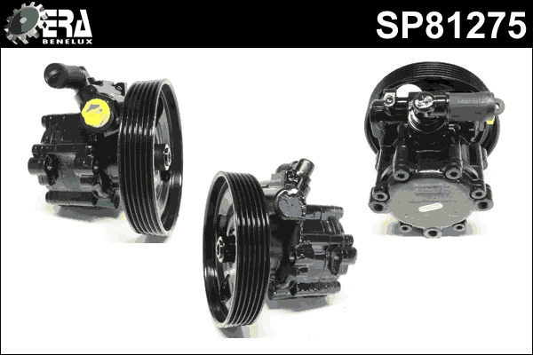 SP81275