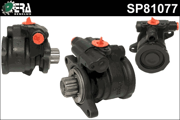 SP81077