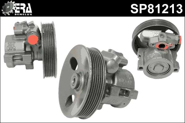 SP81213