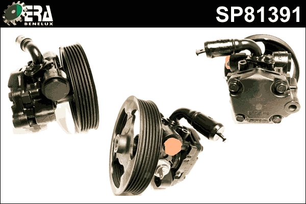 SP81391