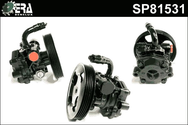 SP81531