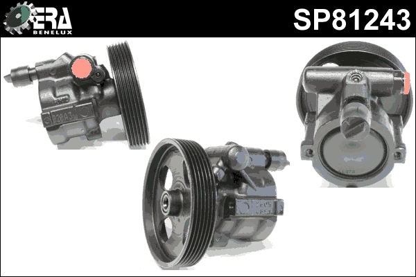 SP81243