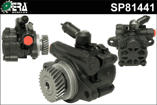 SP81441