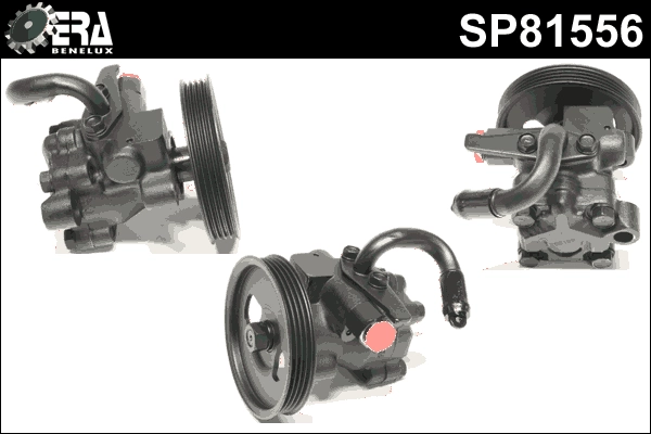 SP81556