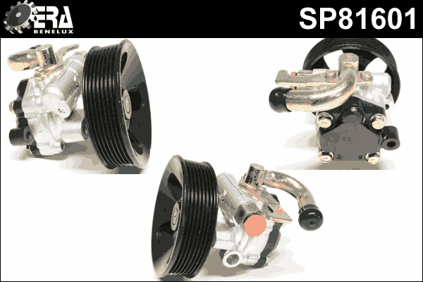 SP81601