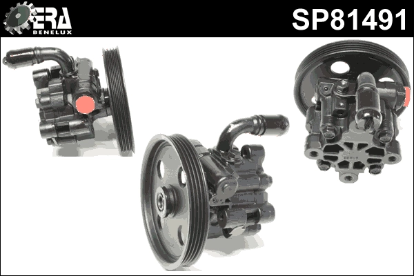 SP81491