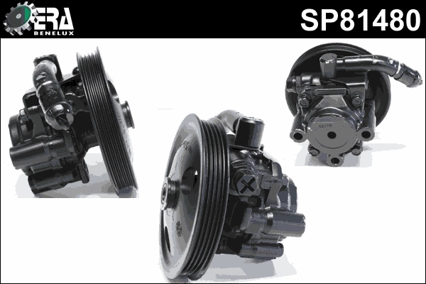 SP81480