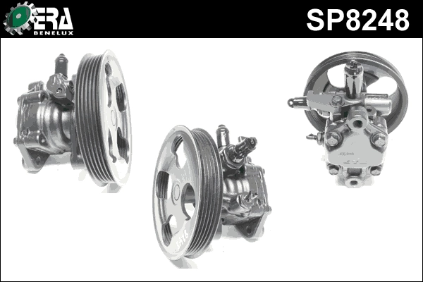 SP8248