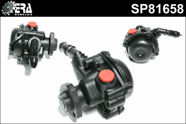 SP81658