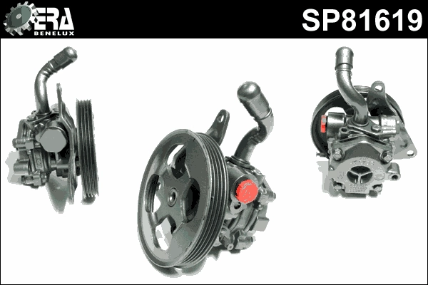 SP81619
