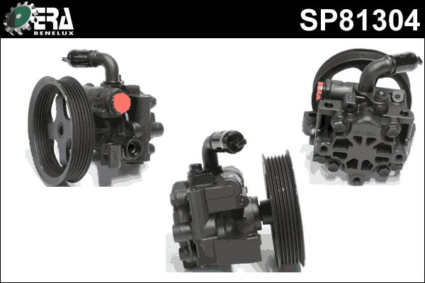 SP81304