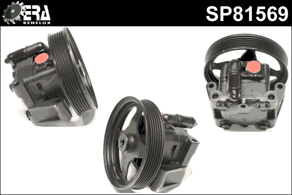 SP81569