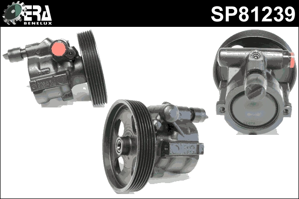 SP81239