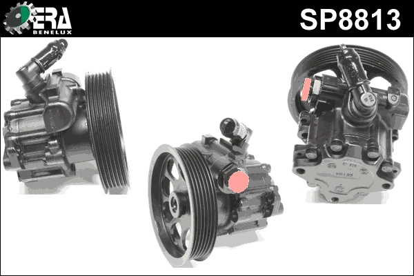 SP8813