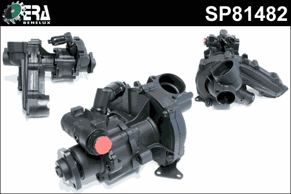 SP81482