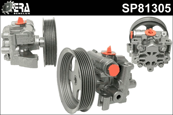 SP81305