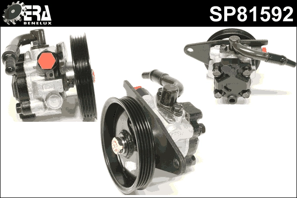 SP81592
