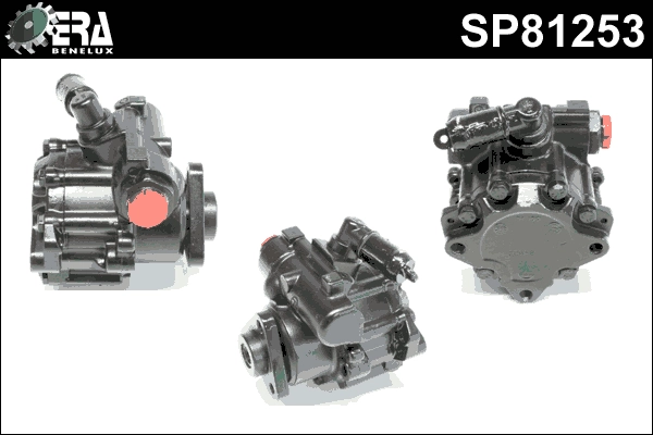 SP81253