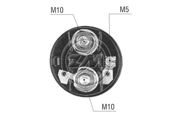 ZM53191