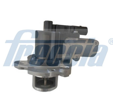 EGR12-202
