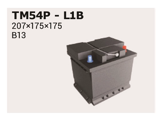 TM54P