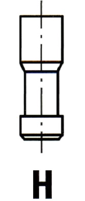 VL036200