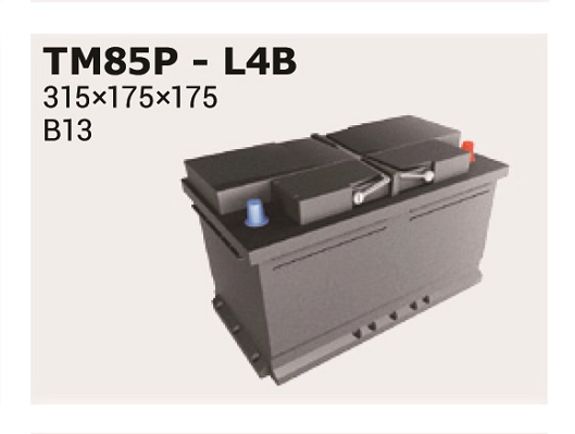 TM85P