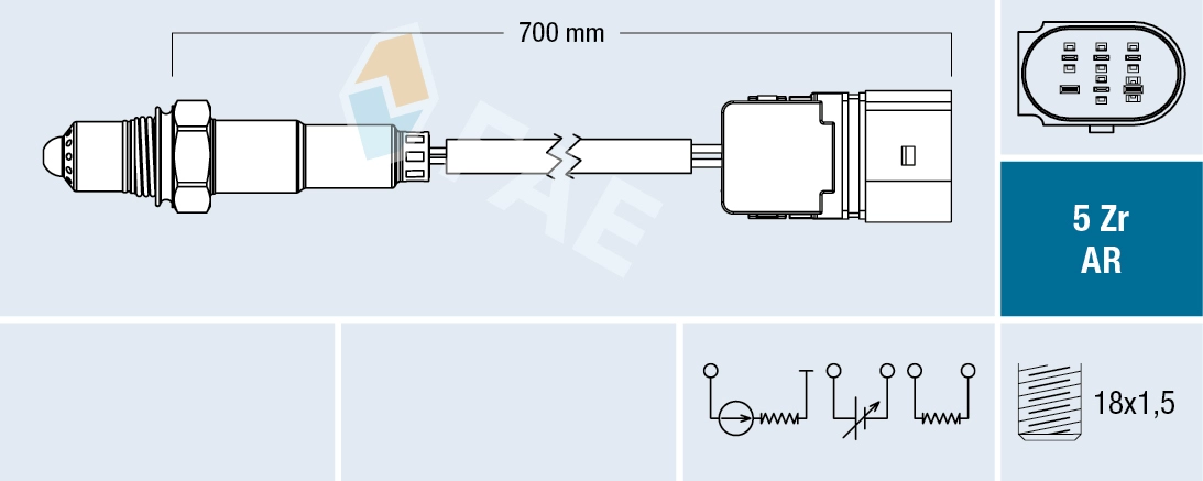 75019