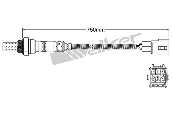 DLS-128
