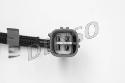 DLS-224