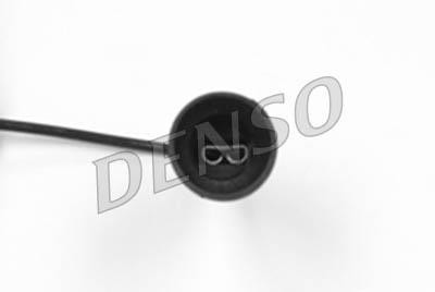 DLS-256