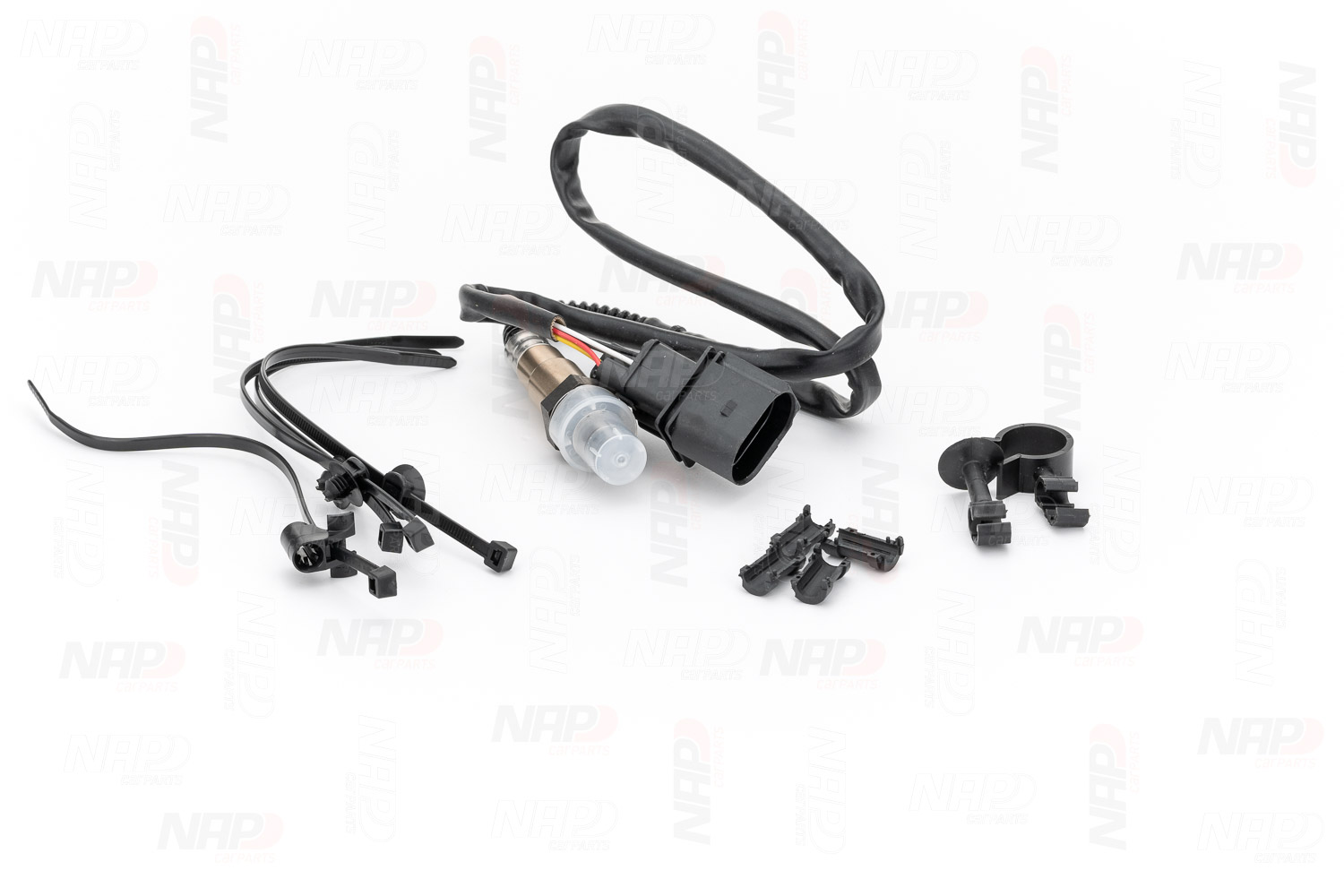 CLS10122