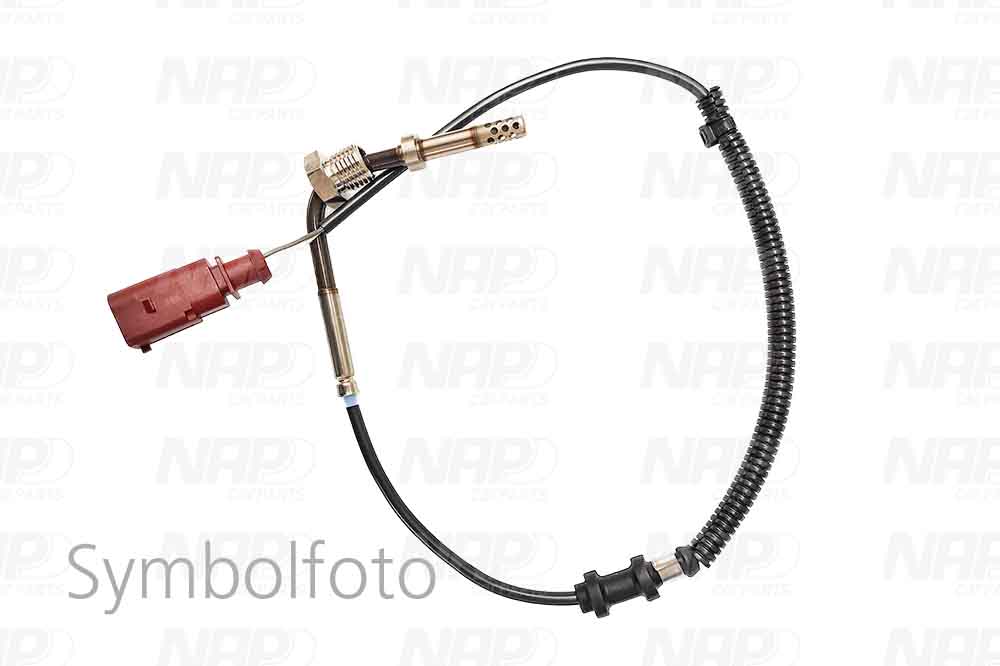 CTS10191