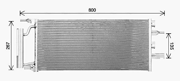 BW5607D
