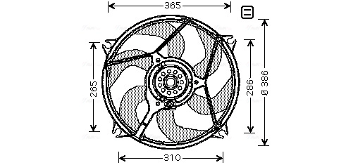 CN7531