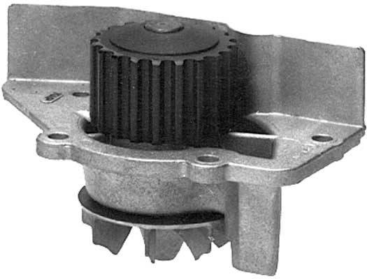 W641
