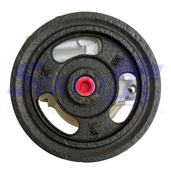 STSP310