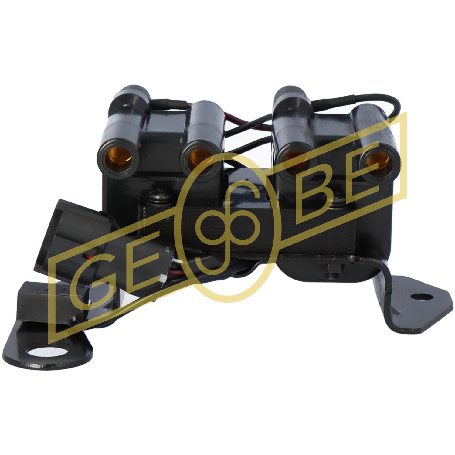 EGT981141