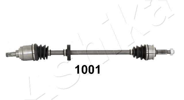 62-01-1001