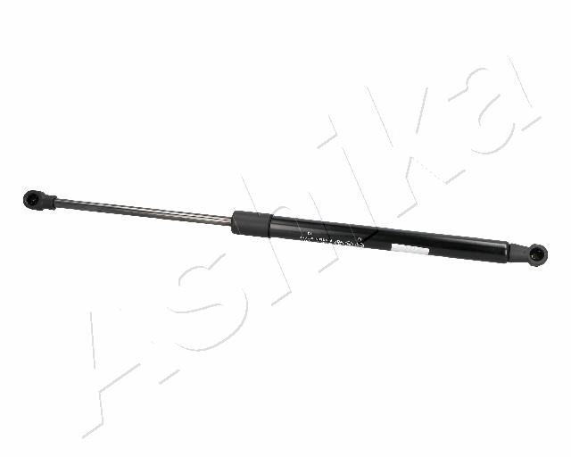 ZSA06019