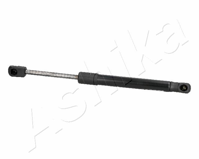 ZSA06066