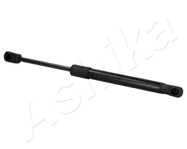 ZSA01074