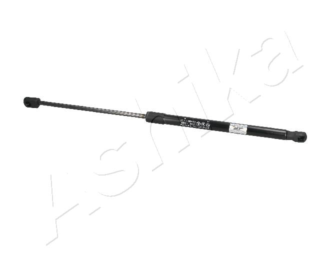 ZSA09029