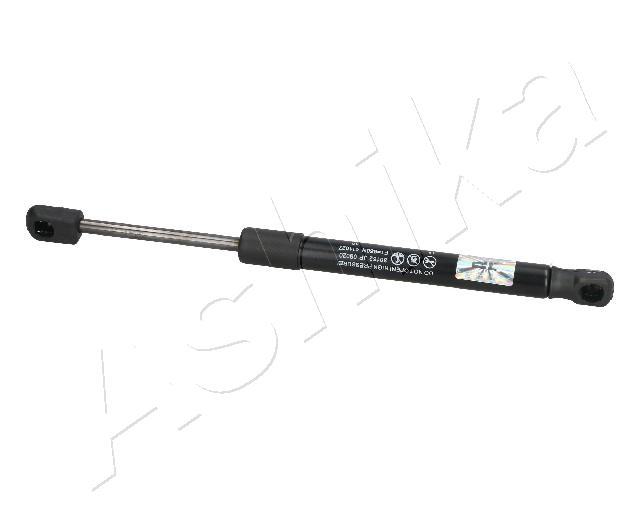 ZSA09020