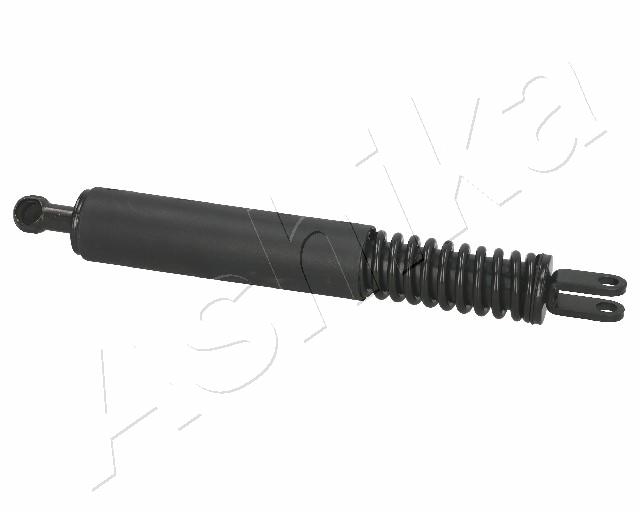 ZSA01037