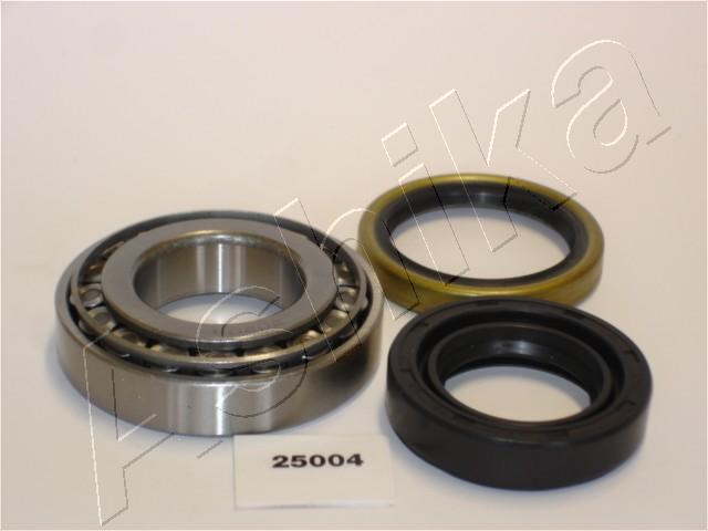 44-25004