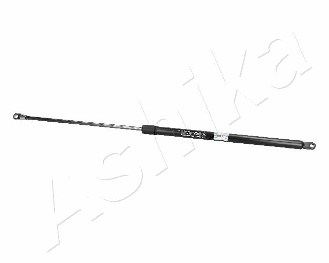 ZSA06040